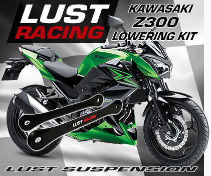 2015-2020 Kawasaki Z300 Lowering kit