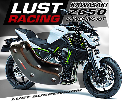 2017-2023 Kawasaki Z650 lowering kit